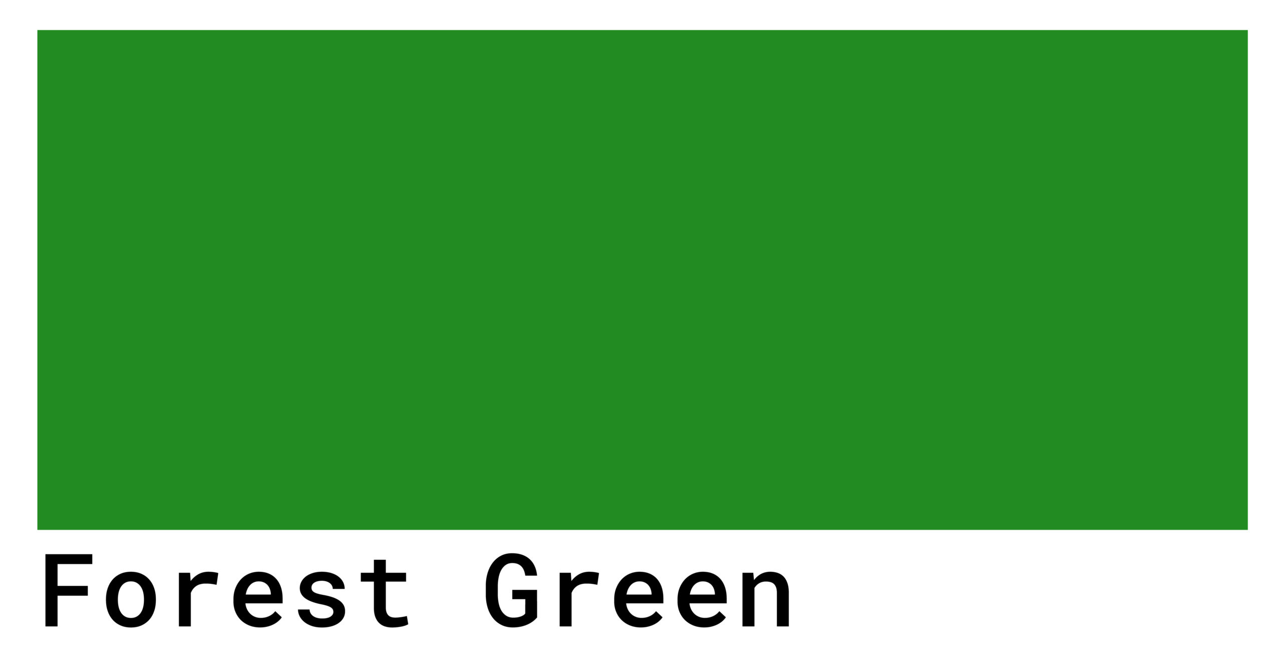 forest green color swatch scaled