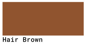Hair Brown Color Codes - The Hex, RGB and CMYK Values That You Need